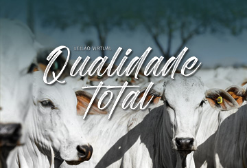 LEILÃO VIRTUAL QUALIDADE TOTAL